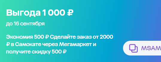 изображение_2024-09-12_163640061.webp