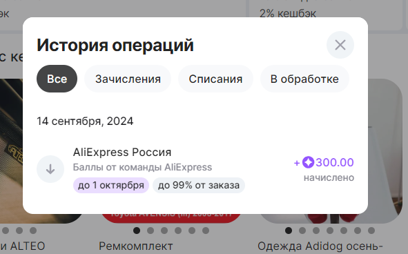 изображение_2024-09-14_020820169.webp