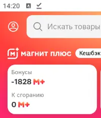 изображение_2025-08-19_142207124.webp