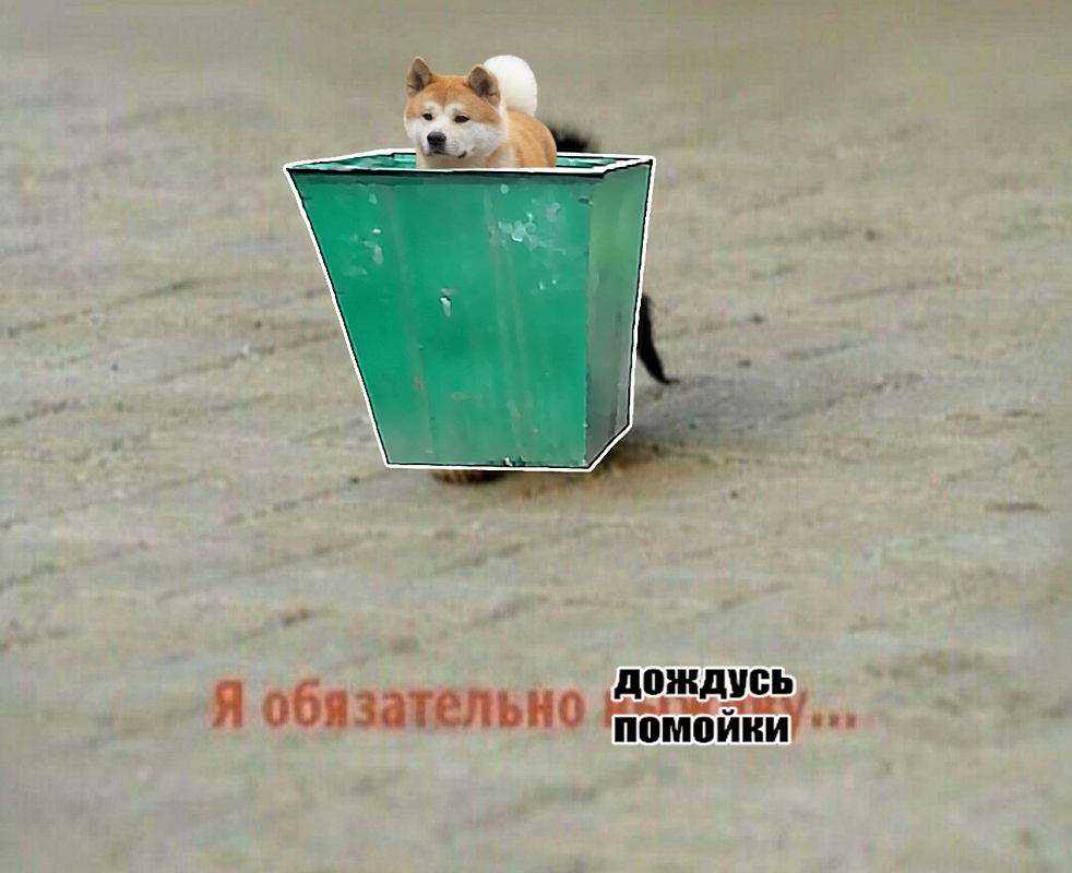 ja-vyzhivu-mem-2.webp