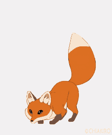 jumping-fox.gif