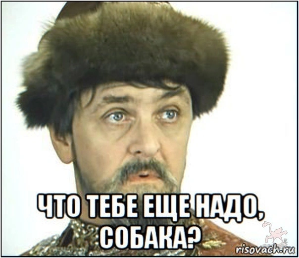 K3mou8X6WEk.webp