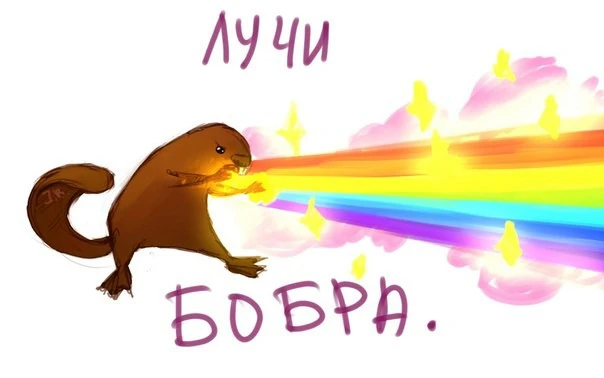 K6xs00CCcyg.webp