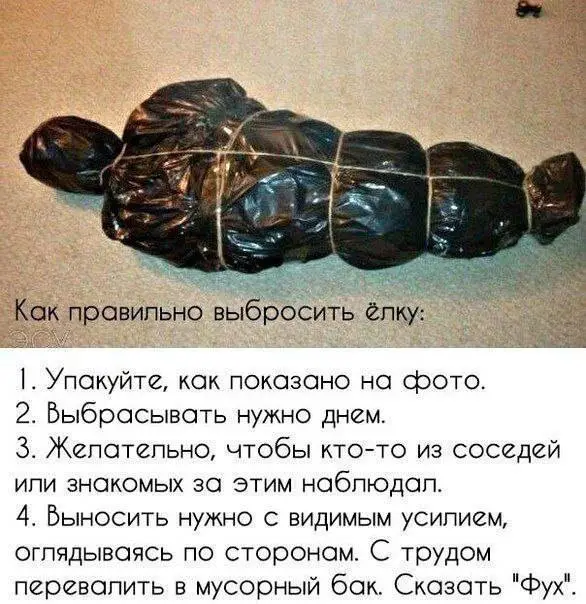 КакВыброситьЁлку.webp