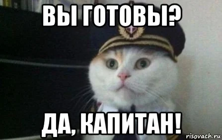 kapitan-kot_159967372_orig_.webp