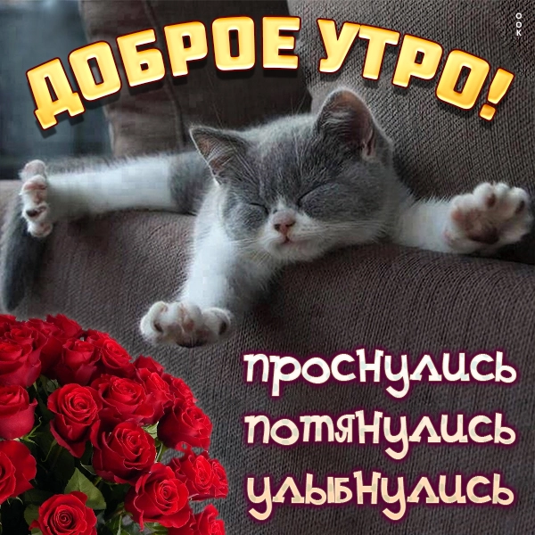 kartinka-s-dobrym-utrom-prosnulis-potyanulis-ulybnulis-5669.webp