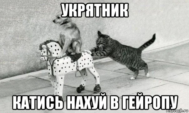 katis-k-huyam_211717626_orig_.webp