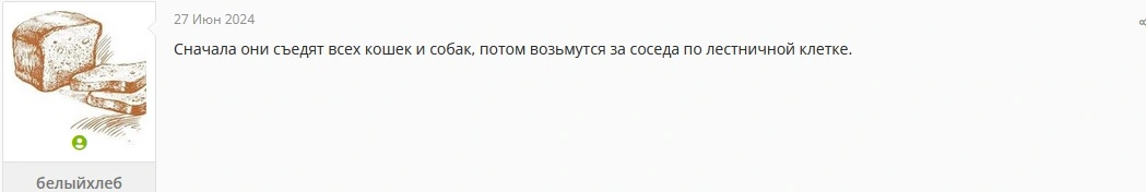 хлеб.webp
