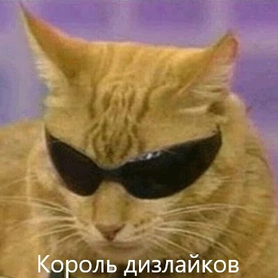 king.webp