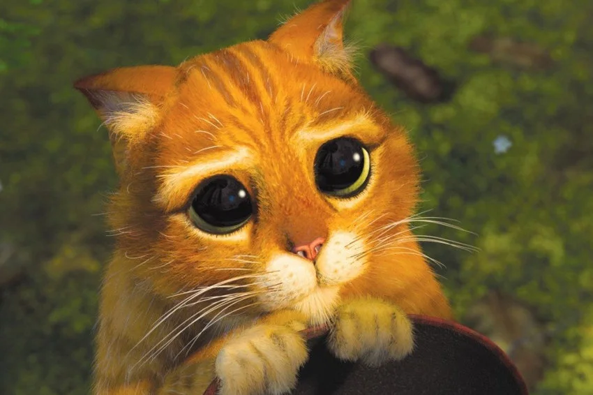 kinopoisk.ru-Shrek-2-644132_d_850.webp