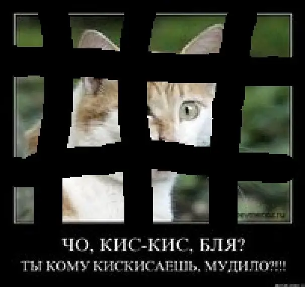 kiss.webp
