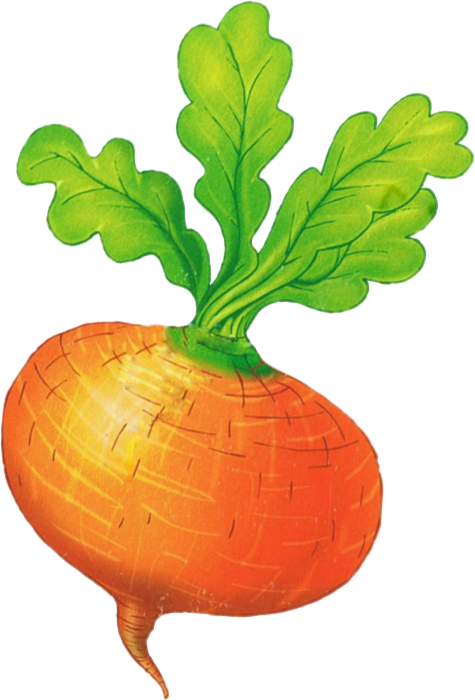 kisspng-the-gigantic-turnip-leaf-vegetable-betterave-5b4866dc247772.5201615315314715801494.webp