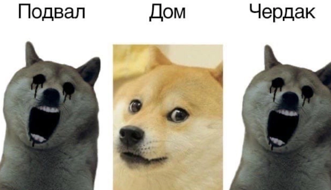 KMfO0jYWo80.webp