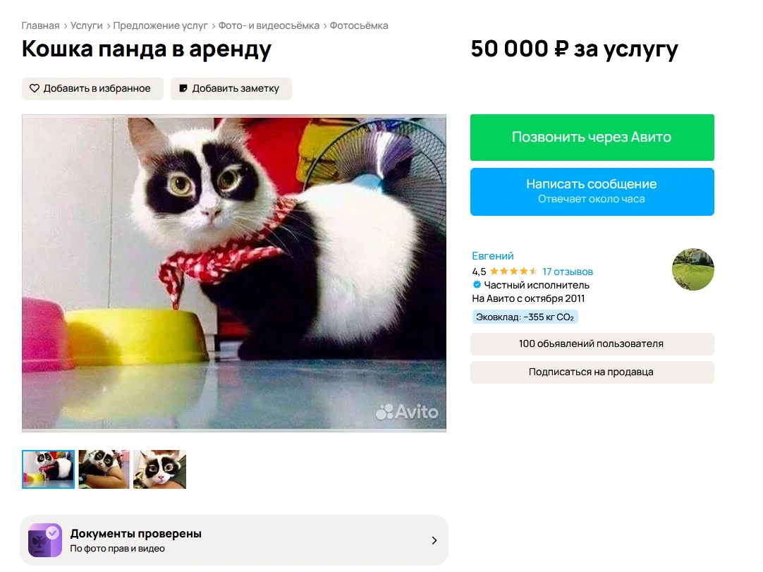 Kopa.webp