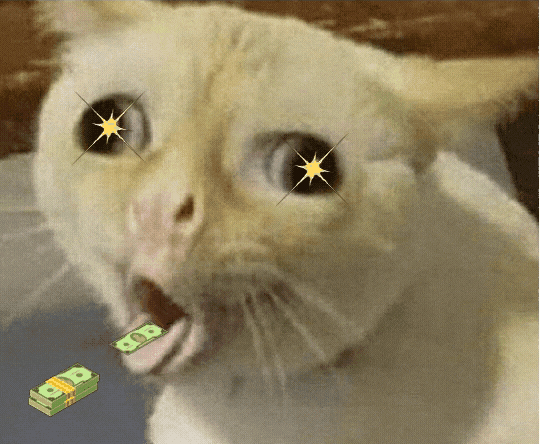 Кот.gif