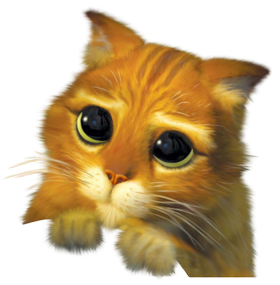 Кот из Шрека.webp