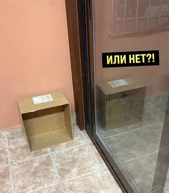 кот-шрёдингера-длиннопост-7778995.webp