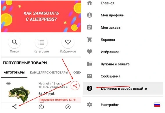 kota-vasa.webp
