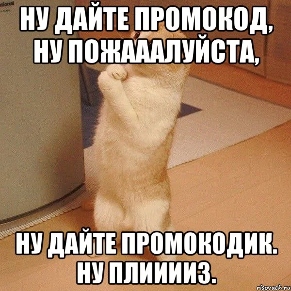 kote_60021233_orig_.jpg