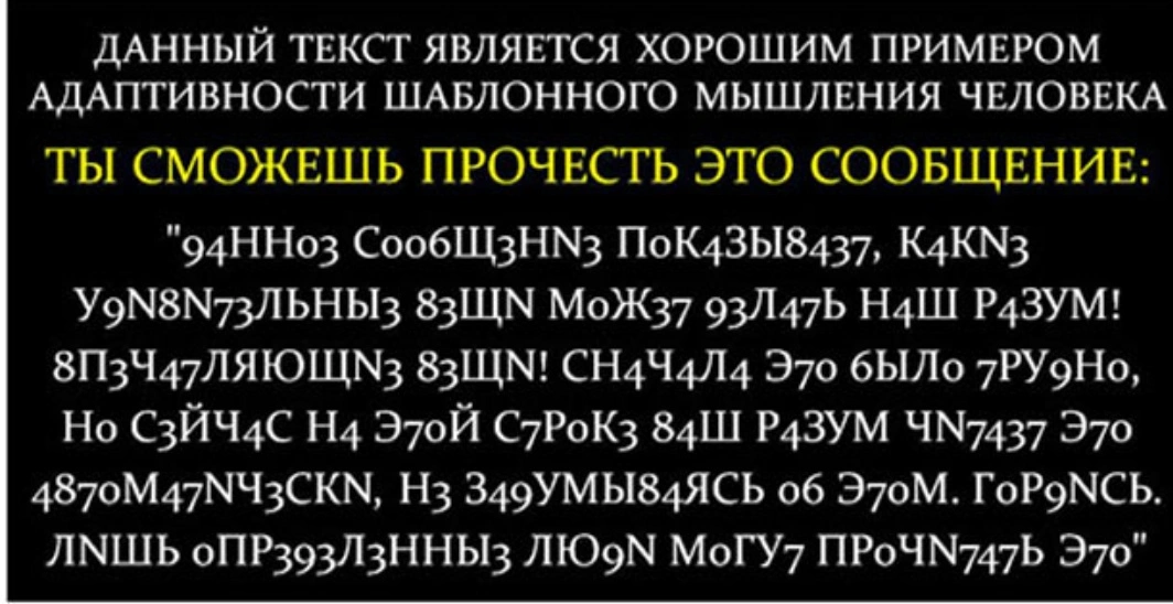 koverki.webp