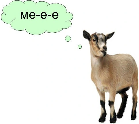 koza-me.webp