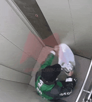 Kozuliky_specii.gif