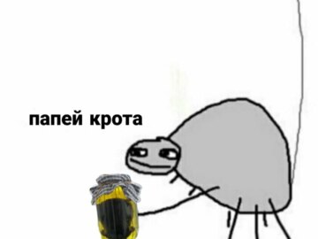 krotovuha-memy-9-360x270.jpg