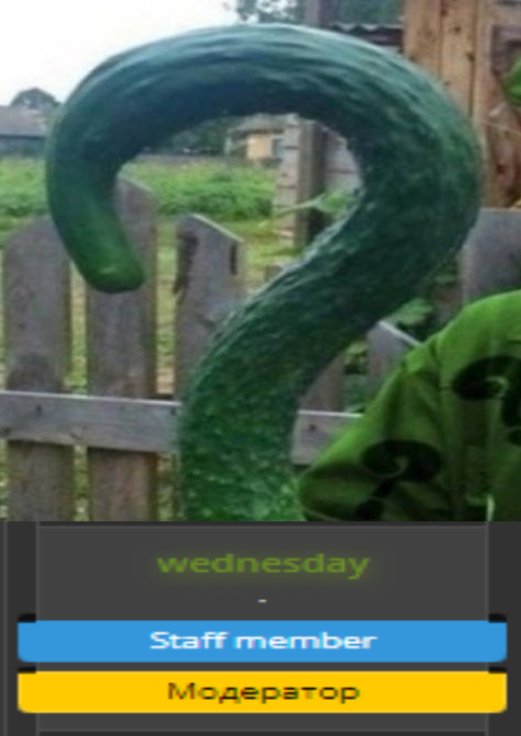 ksq.webp