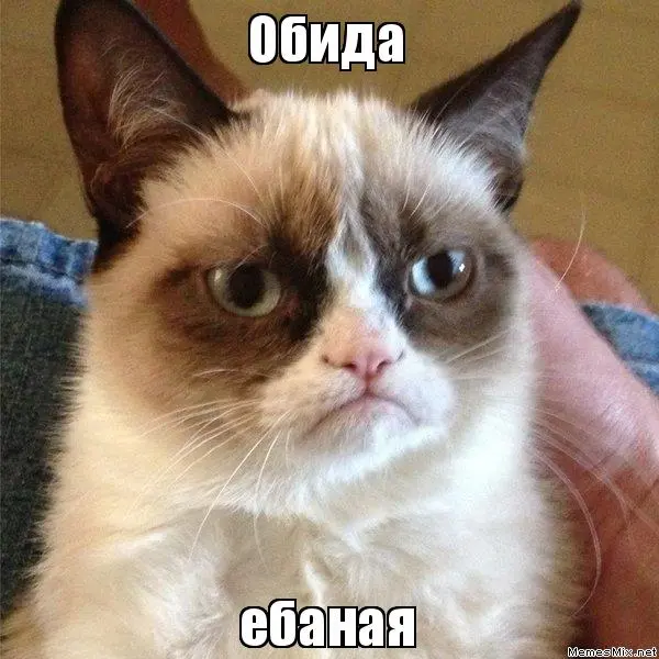 kubrev.webp