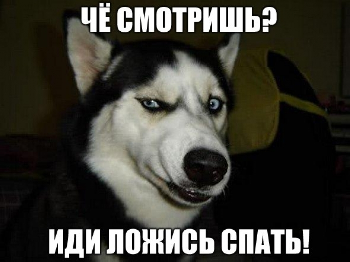 l-9899.webp