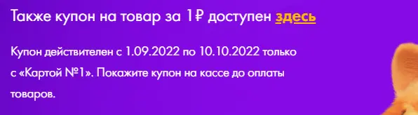 Lenta sroki.webp