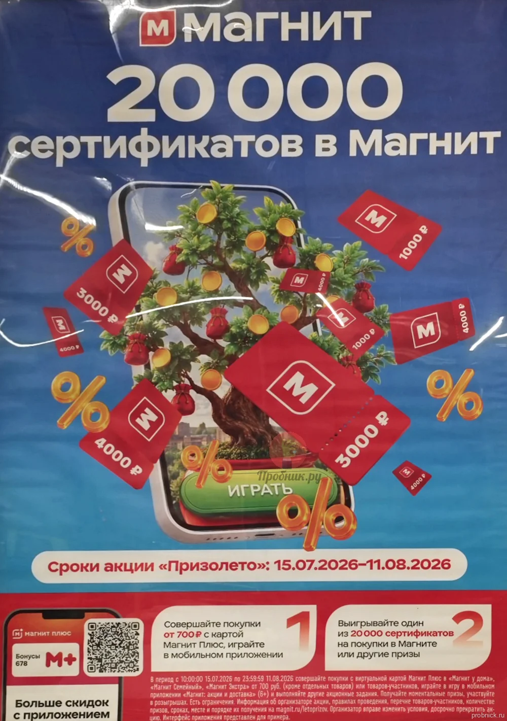 letoprizov_magnit.webp