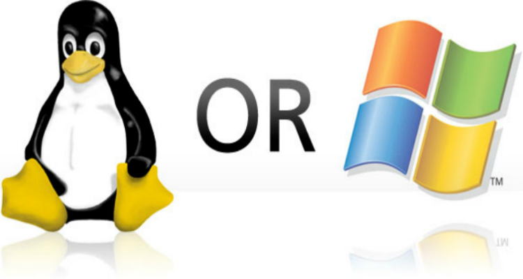 linux-virtual-private-server-or-a-windows-vps-.webp