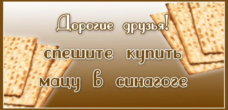 maca.webp
