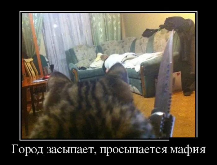 мафия.jpg