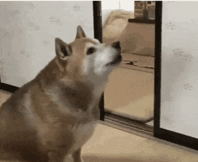 main-qimg-43341b97dd40a322f4d01c442bb42100.gif