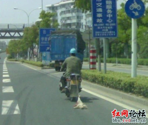 mans-best-friend-china-version-puppy-dragging.webp