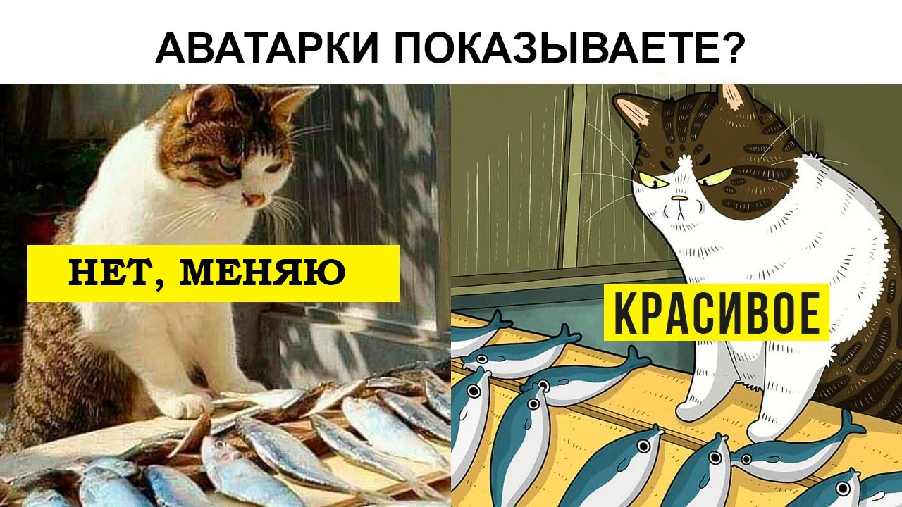 maxresdefault копия.webp