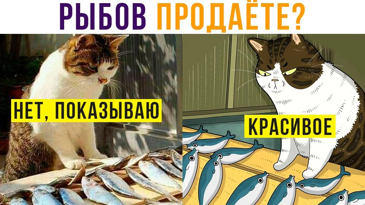 maxresdefault.webp
