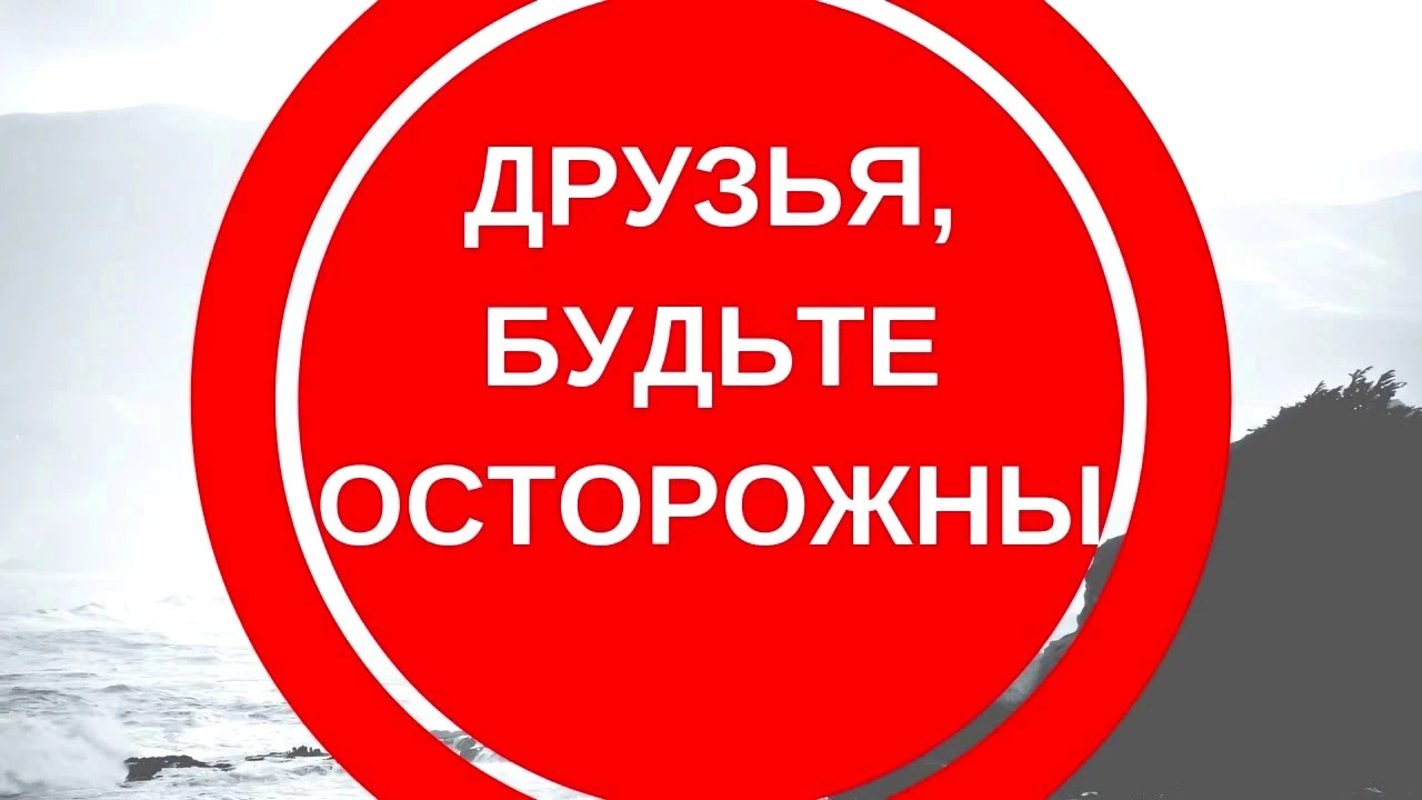 maxresdefault.webp