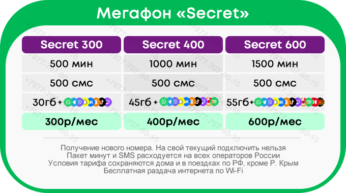 meg_secret.fw.png
