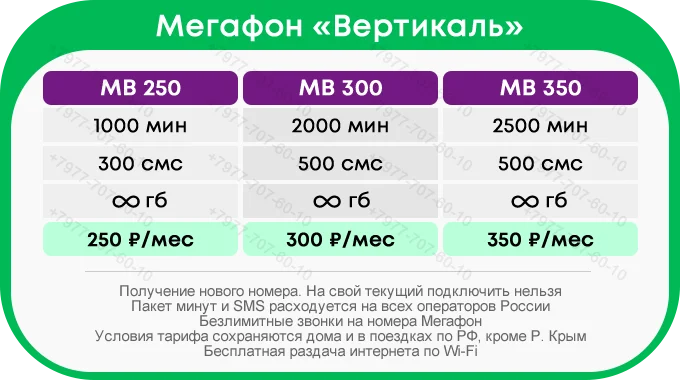 meg_vertikal.webp