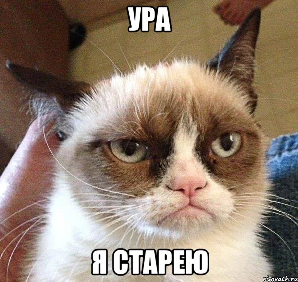 mem_56698827_orig_.webp