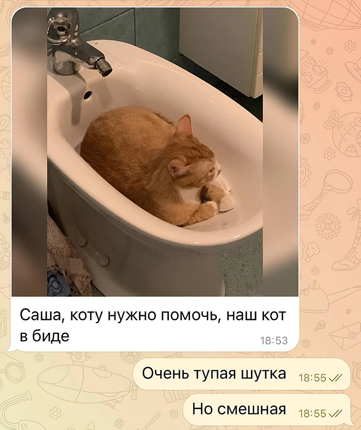 meme-pets-album-01.2y276e74jlot..webp