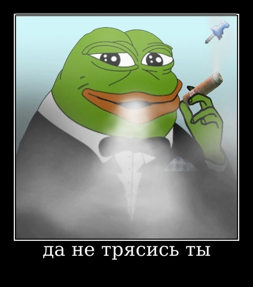 Mg79cWMo4B8.webp