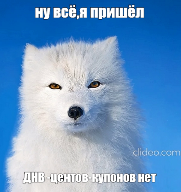 мить.webp
