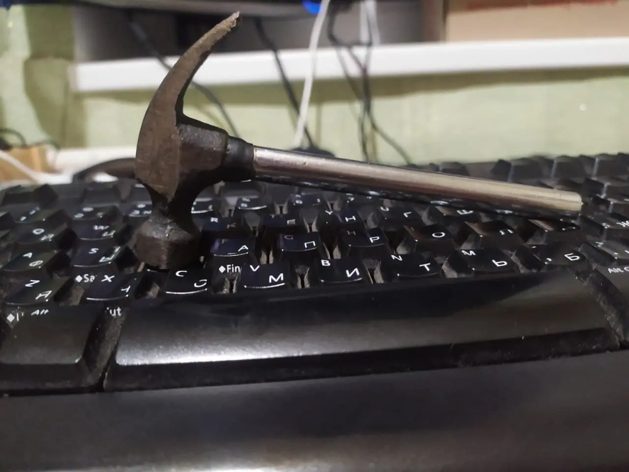 molotobot v_1.0.webp