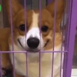 mp4.mp4_snapshot_00.01.409.jpg