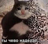 mqdefault.webp