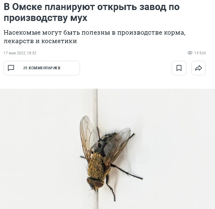 Мух.webp